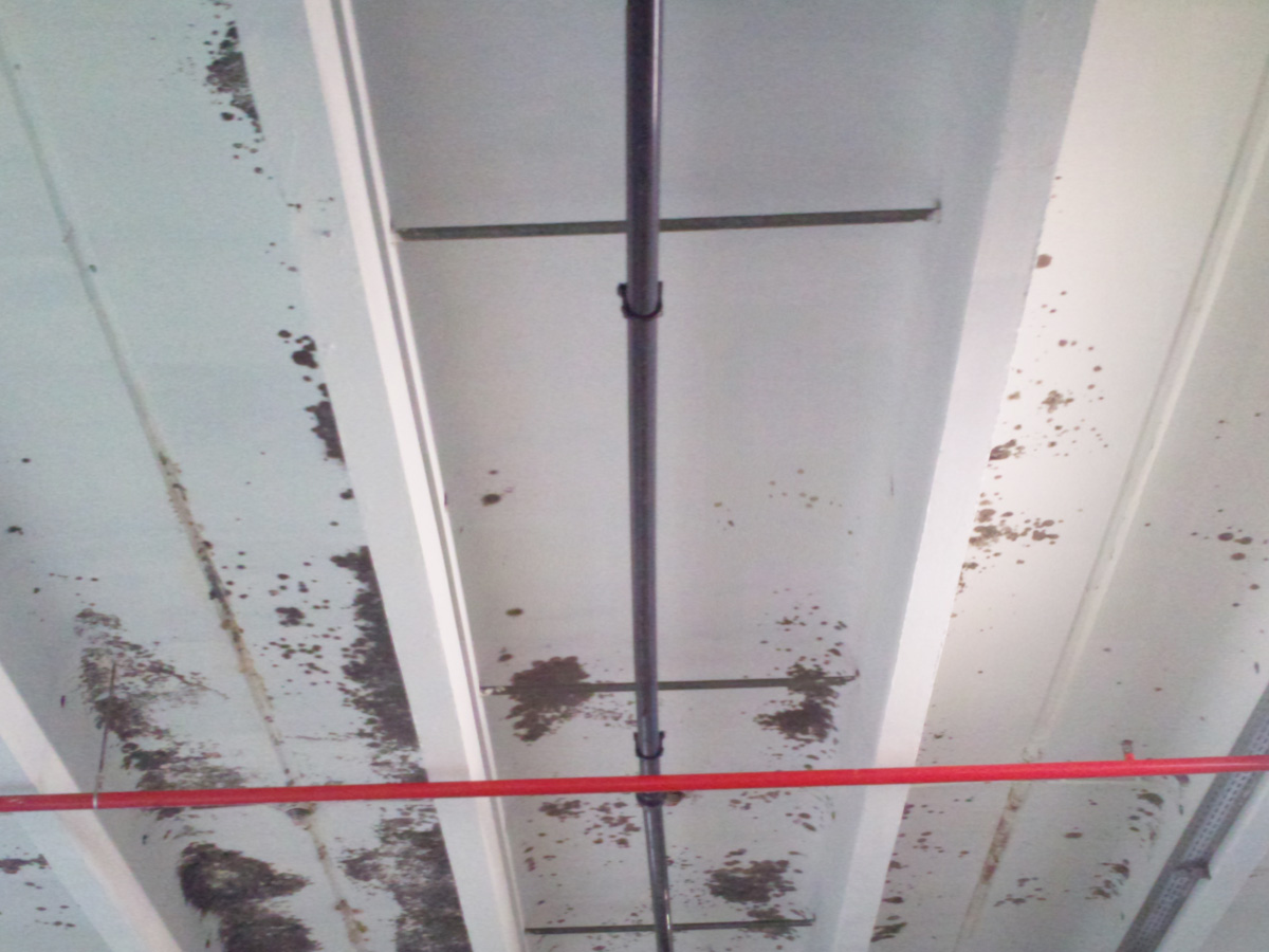Decke_Audit_vorher